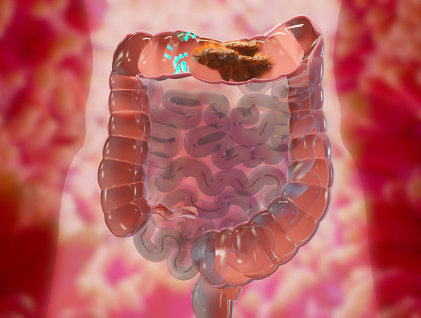 Inflammation Toxins