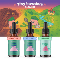 Tiny Invaders | Starter Pack